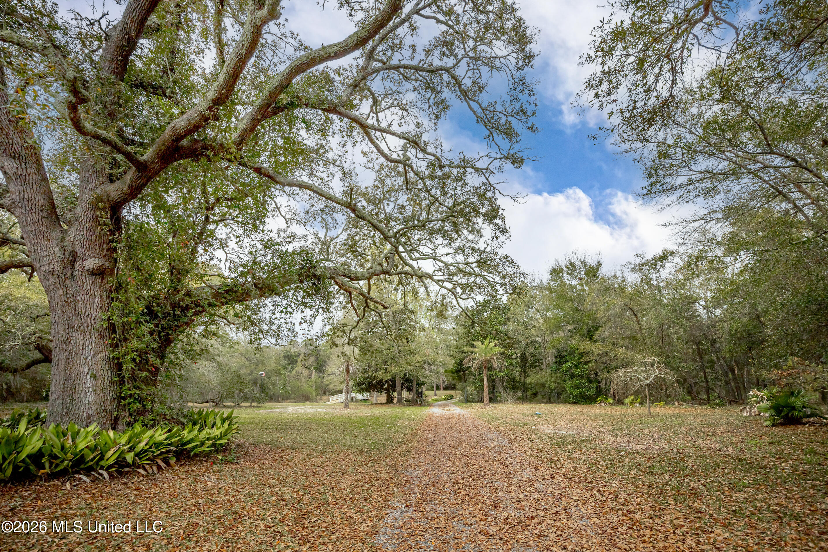 9713 Pointe Aux Chenes Road Ocean Springs, MS 39564 - Photo 67 of 80 IMG_0249