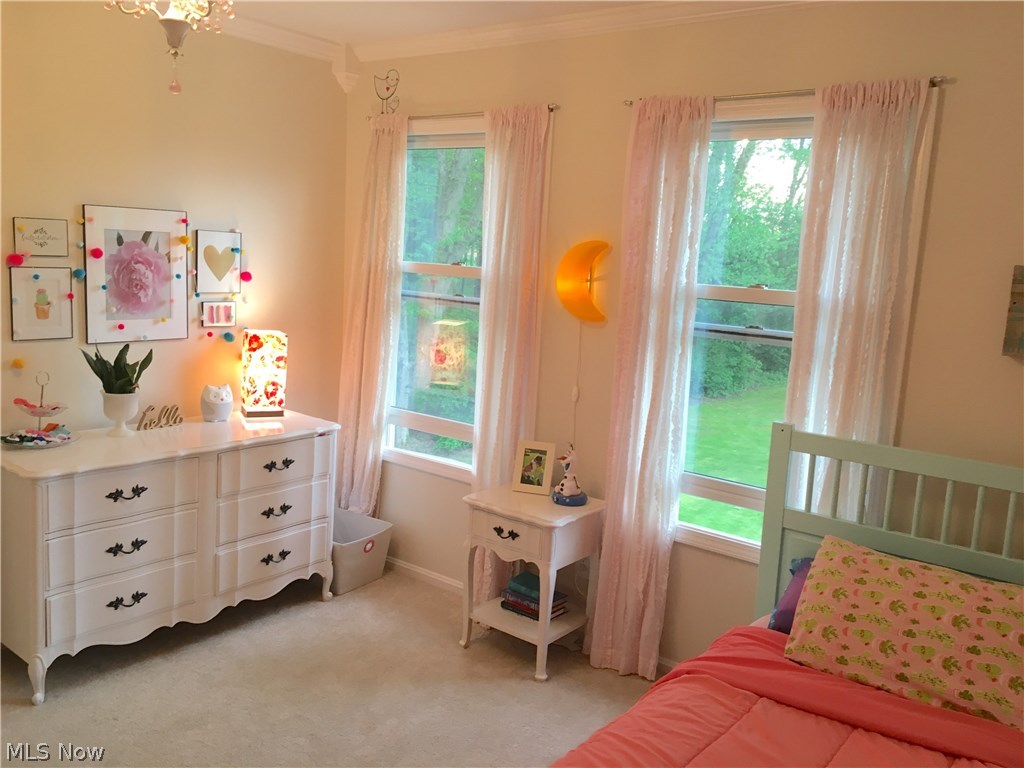4827 State Road Medina, OH 44256 - Photo 19 of 31 Gallery Image 19