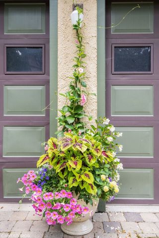 a flower potted plant in front of a door