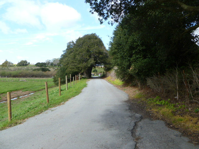 21 Willow Road Castroville, CA 95012 - Photo 2 of 5 Gallery Image 2
