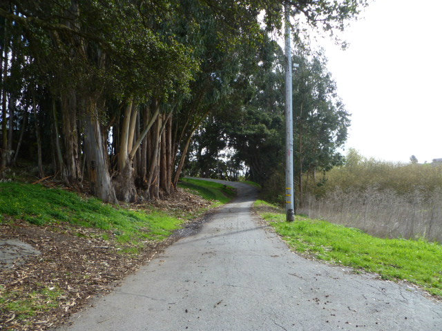 21 Willow Road Castroville, CA 95012 - Photo 3 of 5 Gallery Image 3