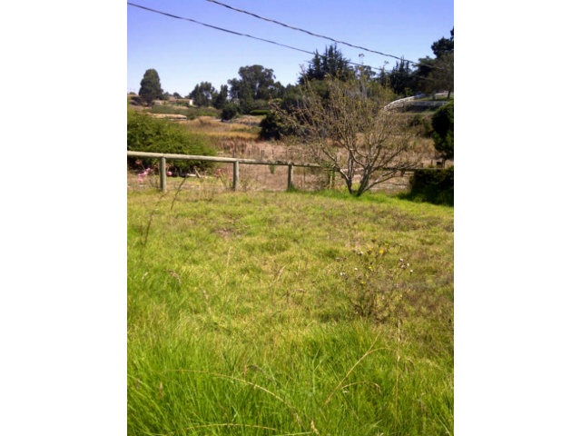 21 Willow Road Castroville, CA 95012 - Photo 5 of 5 Gallery Image 5
