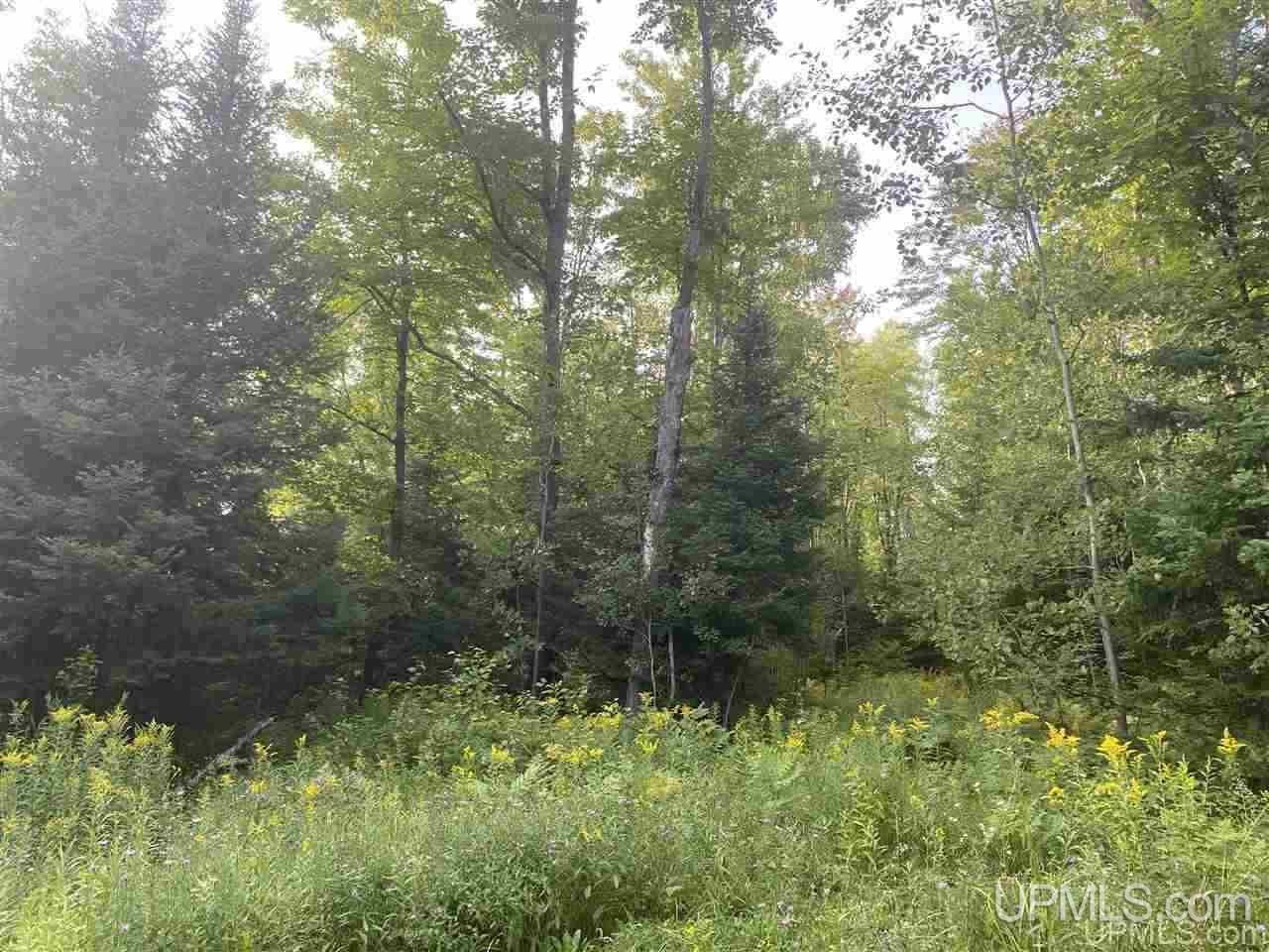 Off Off M64s Bessemer, MI 49911 - Photo 23 of 33