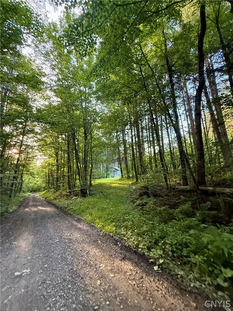 9191 Furman Mills Road Brookfield, NY 13460 - Photo 29 of 30