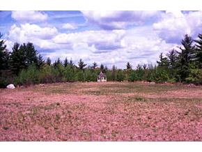 162 Armory Road Milford, NH 03055 - Photo 3 of 4