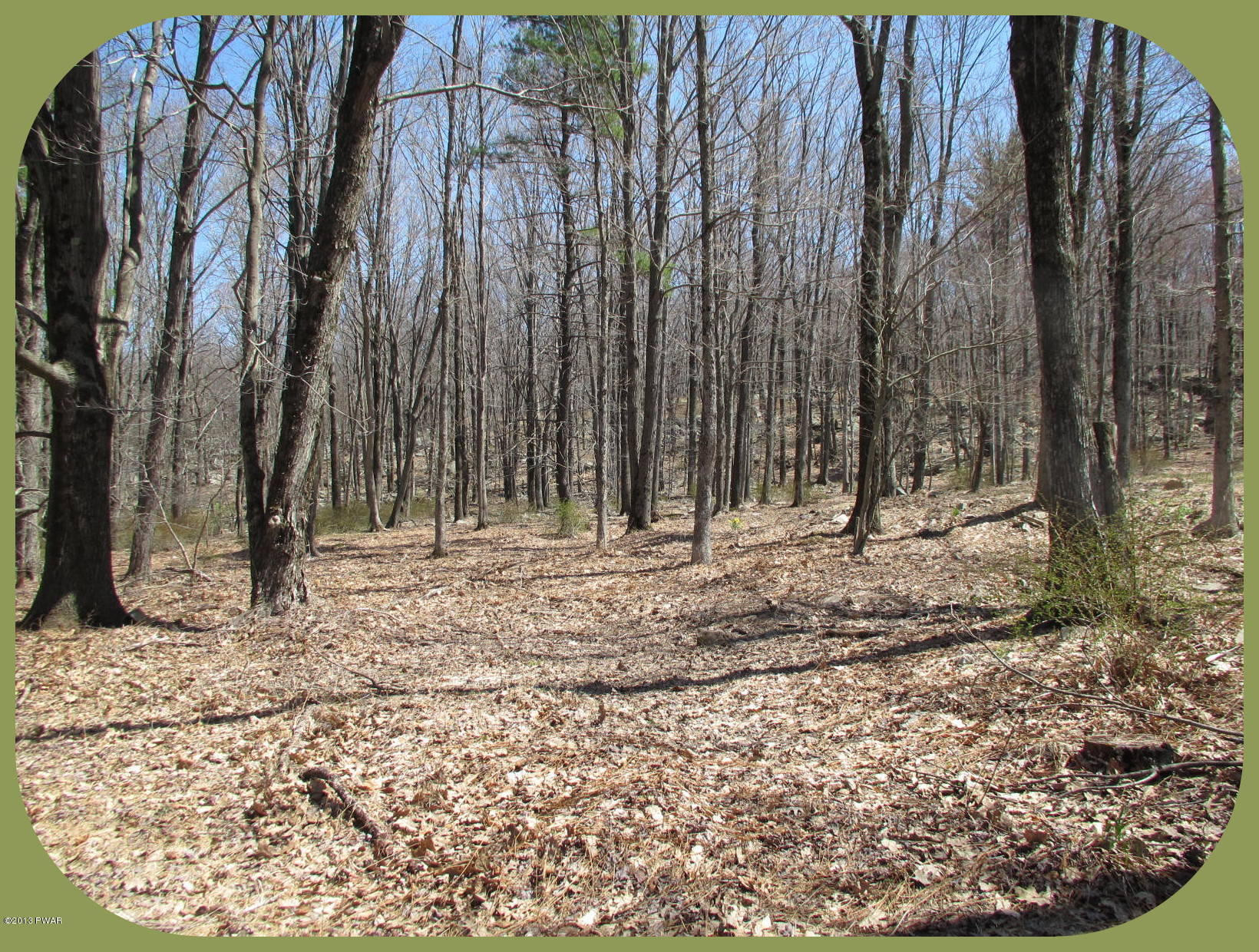 156 3 Legged Swamp Road Canadensis, PA 18325 - Photo 52 of 72