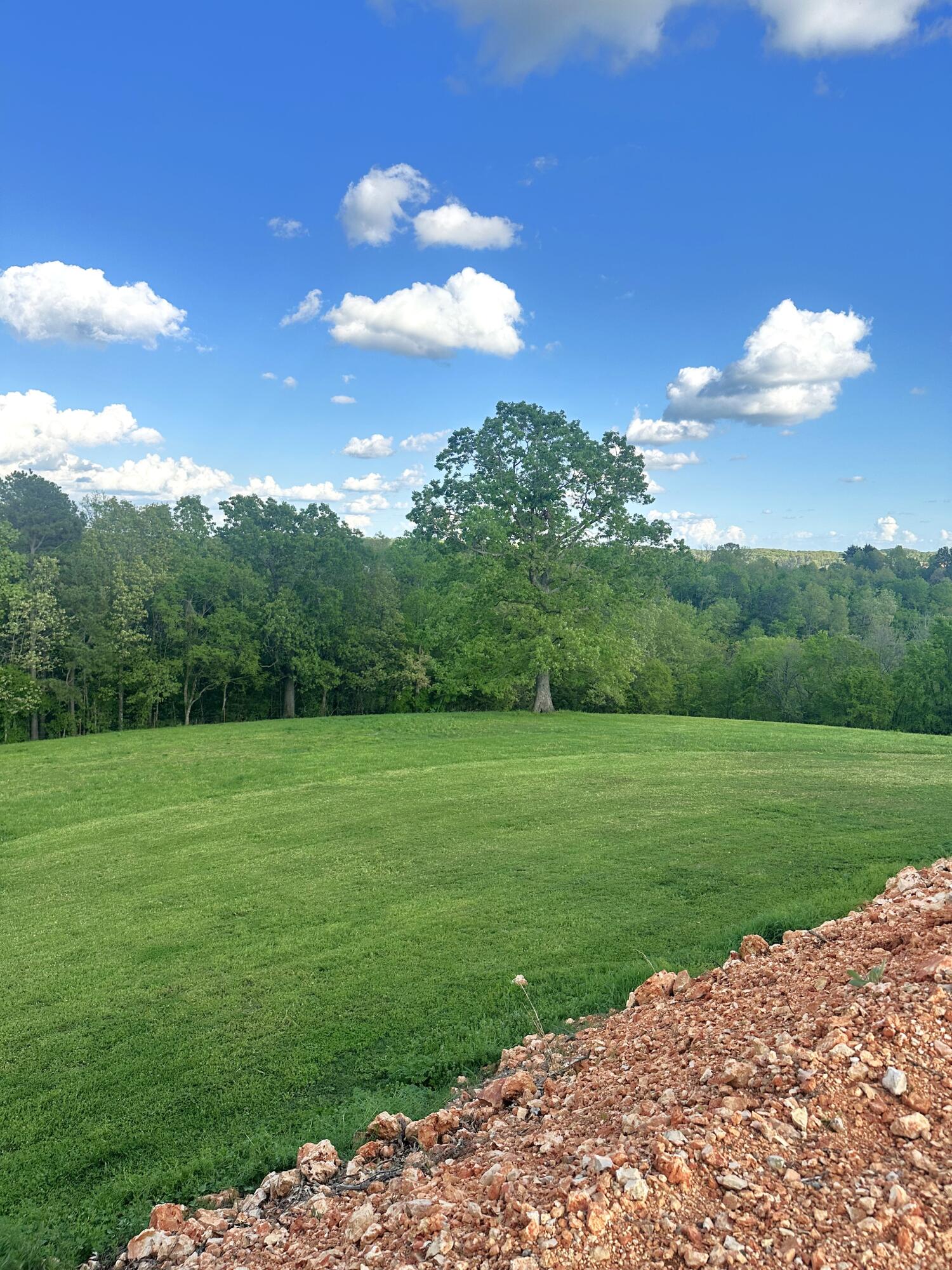 0 Hog Ridge Noel, MO 64854 - Photo 1 of 1 IMG_2509