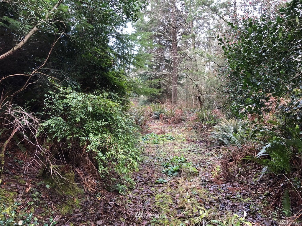 0 Kirkhill Road Clinton, WA 98236 - Photo 10 of 15 Gallery Image 10