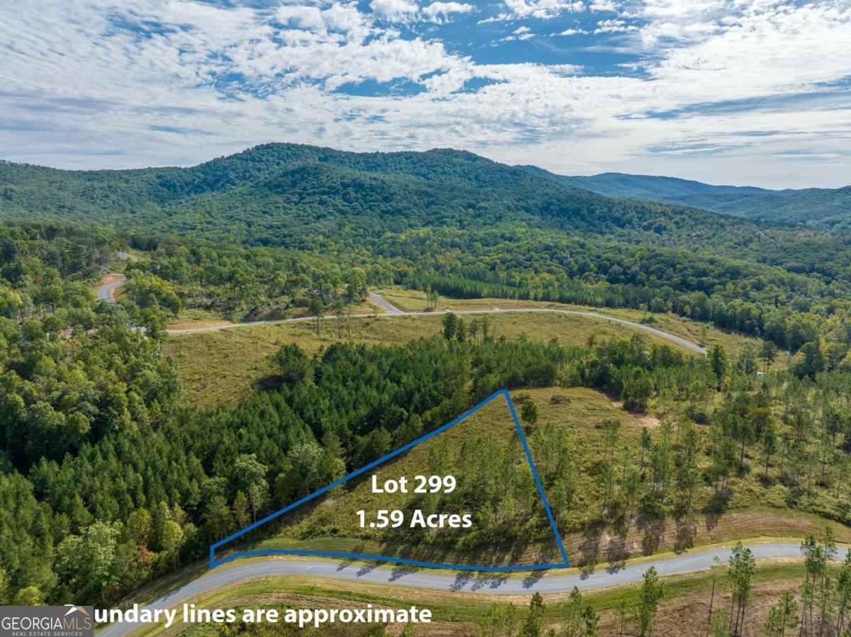 Lot 299 Twisted Oak Road Talking Rock, GA 30175 - Photo 1 of 1 Gallery Image 1