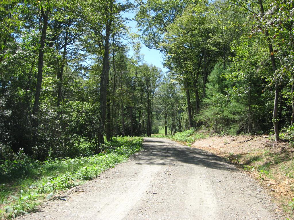 Tbd Blue Ridge Parkway, Unit 152 Fancy Gap, VA 24328 - Photo 10 of 39 Gallery Image 10