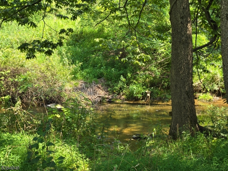 1041 Ridge Street, Unit A6 Phillipsburg, NJ 08865 - Photo 13 of 19 a view of a tree in a garden