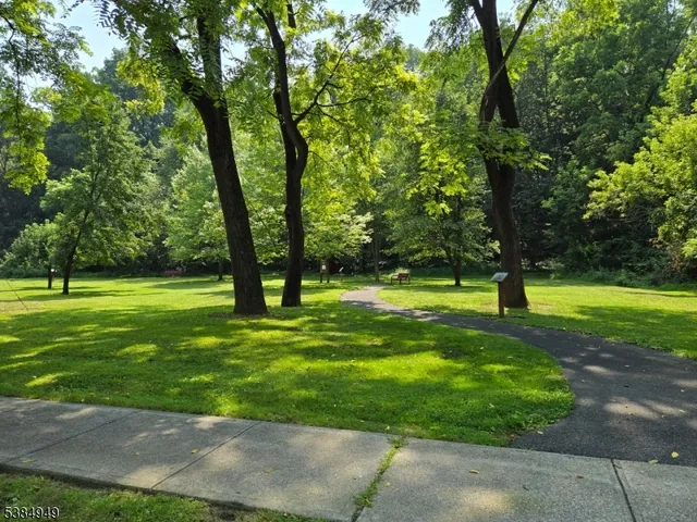 a view of a park with a tree