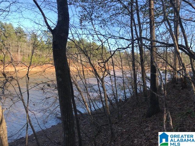 Lot 2 Emily Avenue, Unit 2 Lineville, AL 36266 - Photo 10 of 12