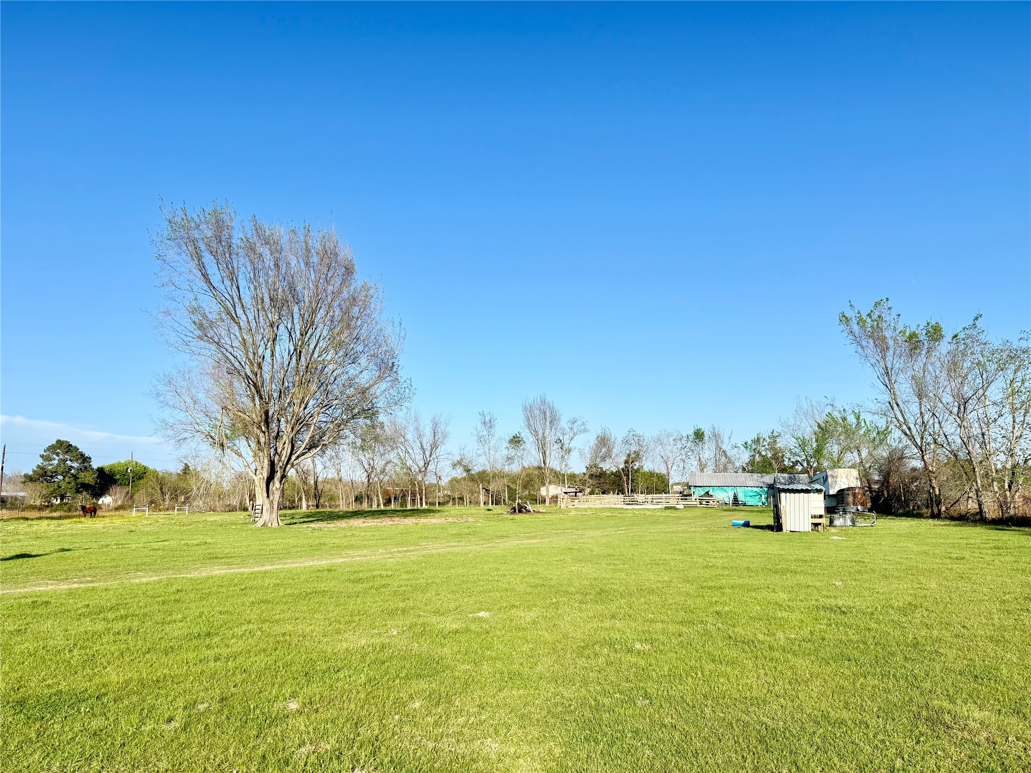 29921 Waller Spring Creek Road Waller, TX 77484 - Photo 11 of 23