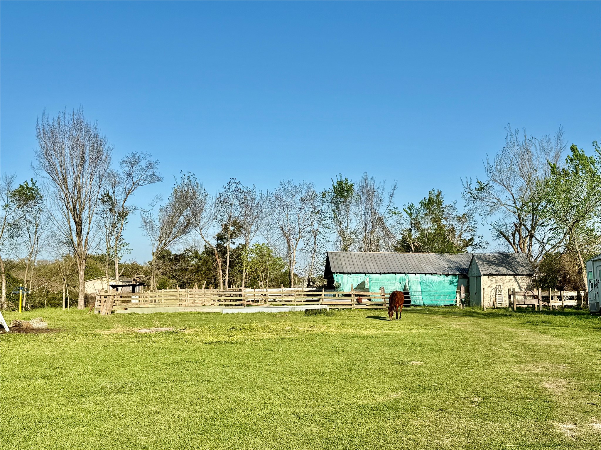 29921 Waller Spring Creek Road Waller, TX 77484 - Photo 19 of 23 a view of swimming pool with outdoor seating and trees