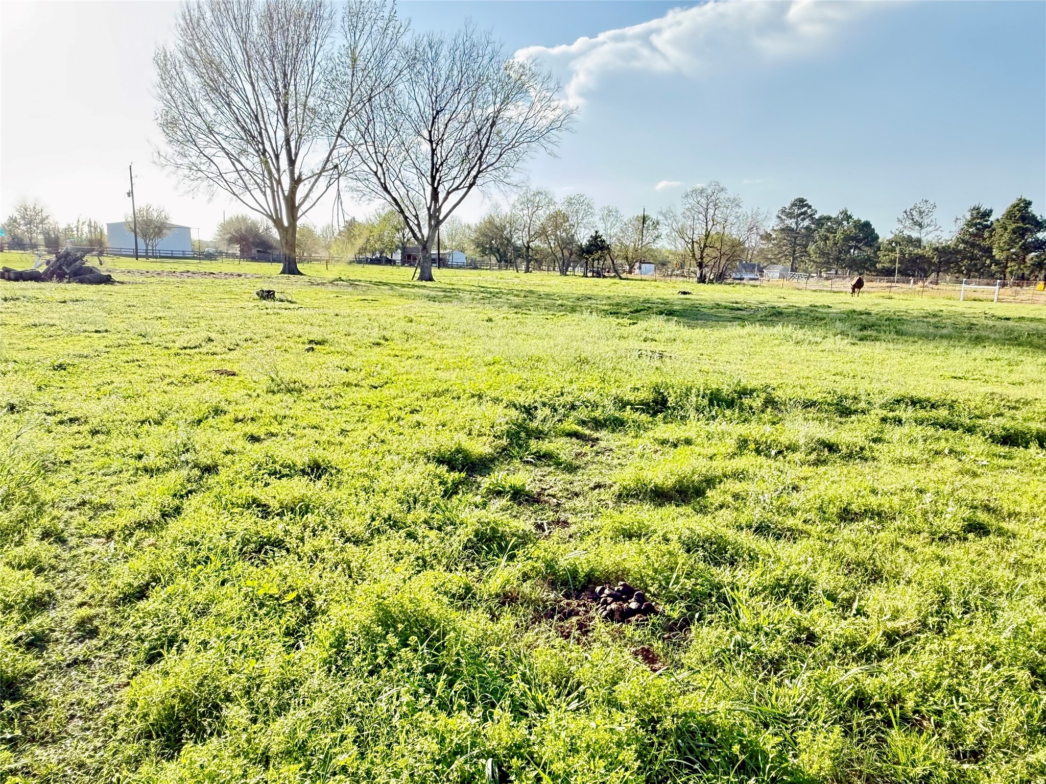 29921 Waller Spring Creek Road Waller, TX 77484 - Photo 20 of 23 a view of a field with an trees
