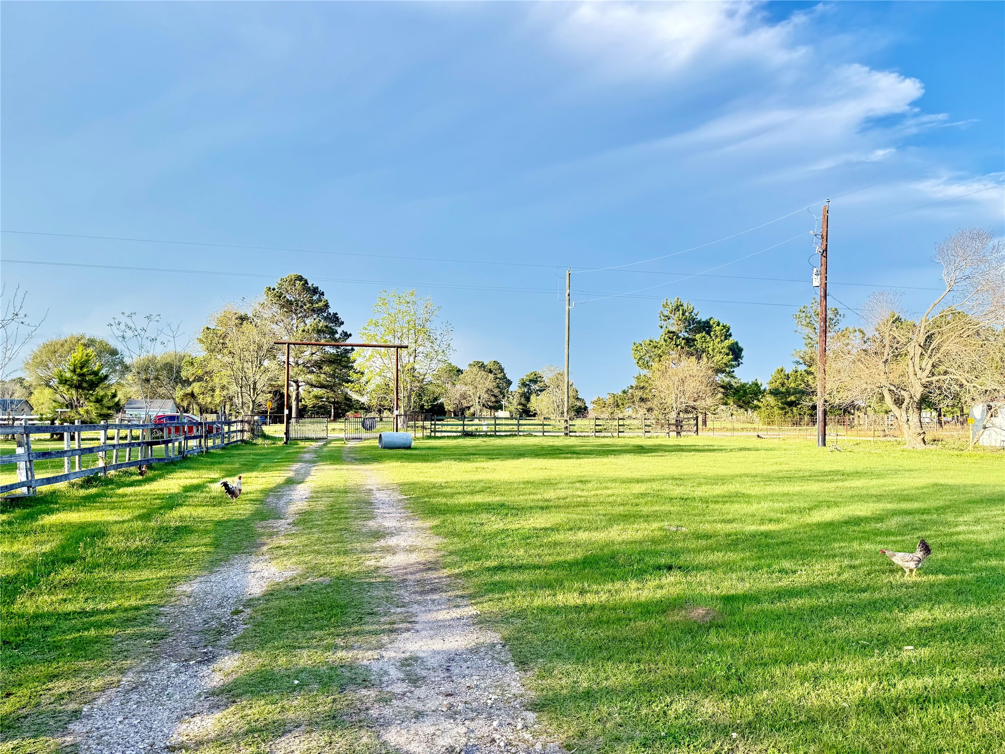 29921 Waller Spring Creek Road Waller, TX 77484 - Photo 22 of 23 a big yard with table and chairs
