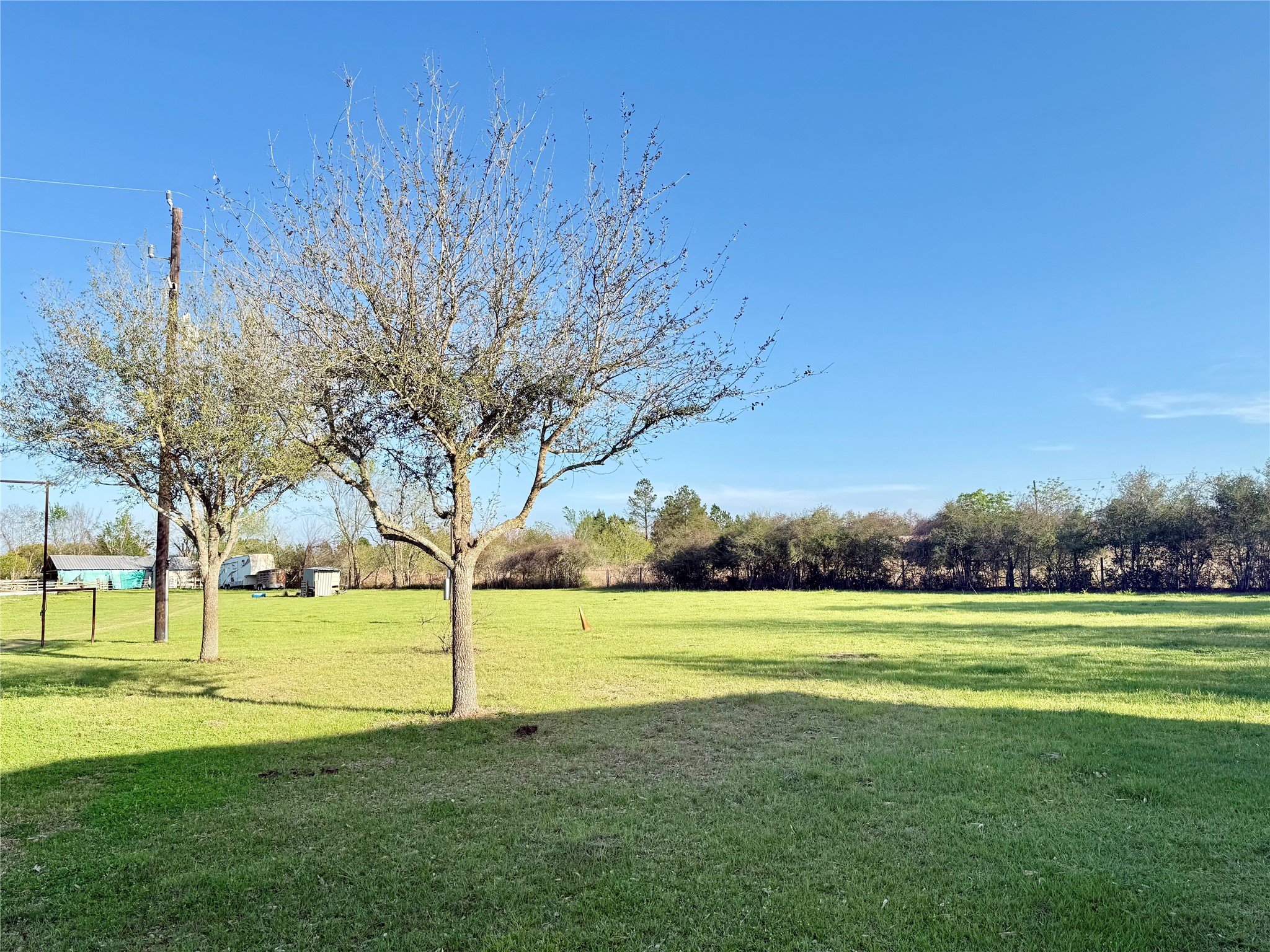 29921 Waller Spring Creek Road Waller, TX 77484 - Photo 5 of 23 a view of a field with trees