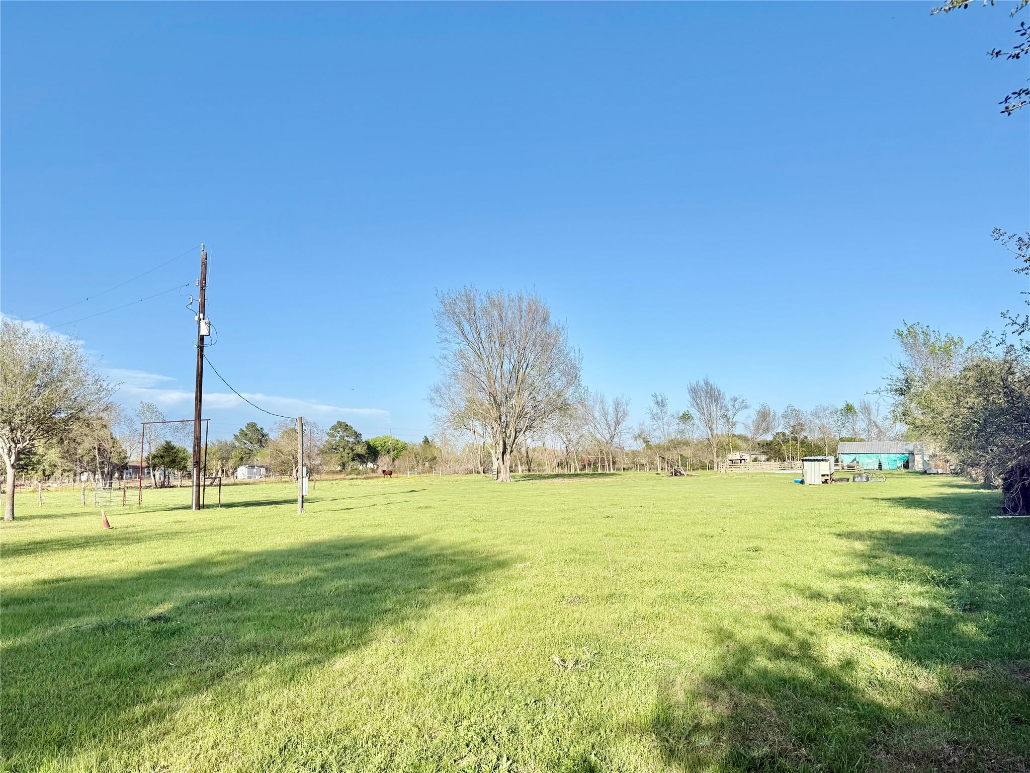 29921 Waller Spring Creek Road Waller, TX 77484 - Photo 7 of 23 a view of an ocean with a big yard and large trees