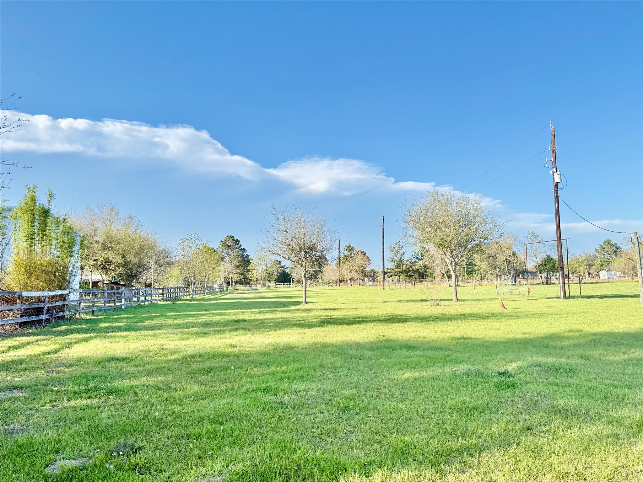 29921 Waller Spring Creek Road Waller, TX 77484 - Photo 8 of 23 a view of a big yard with a large tree