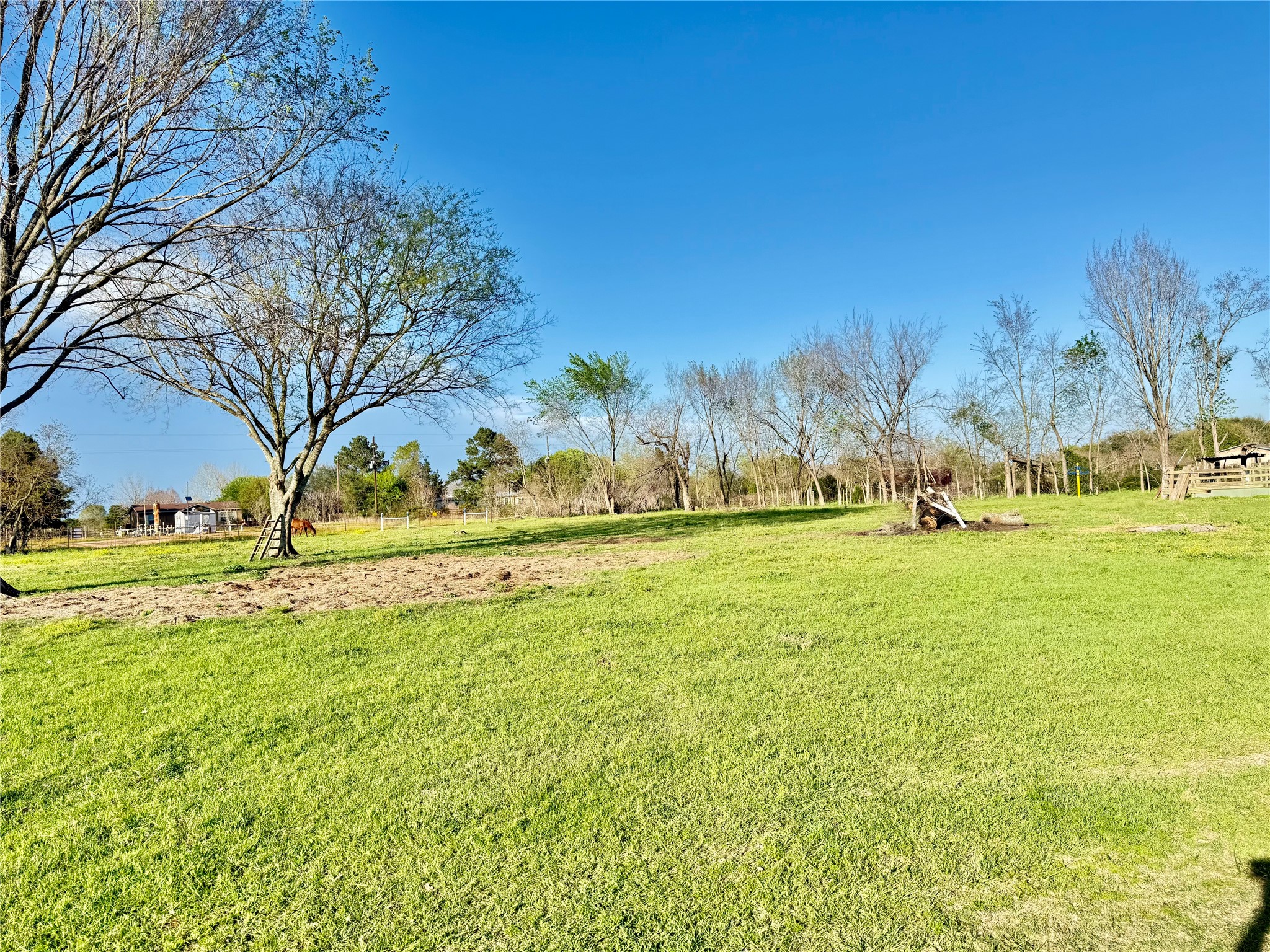 29921 Waller Spring Creek Road Waller, TX 77484 - Photo 9 of 23 a view of a field with large trees