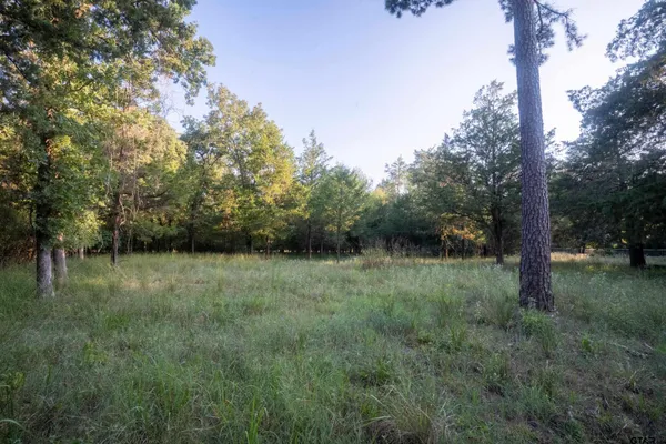 $25,000 | 2-3 47 48 Kings Country Boulevard, Scroggins, TX 75480