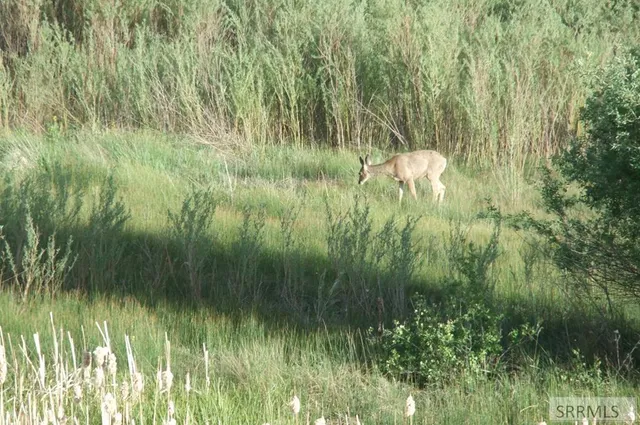 $2,000,000 | Tbd Bailey Creek Road, Soda Springs, ID 83276