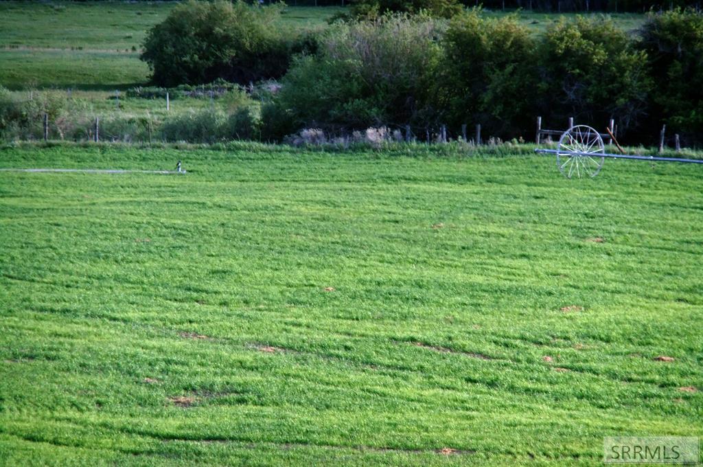 Tbd Bailey Creek Road Soda Springs, ID 83276 - Photo 39 of 48