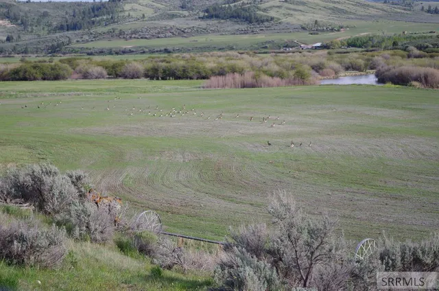 $2,000,000 | Tbd Bailey Creek Road, Soda Springs, ID 83276