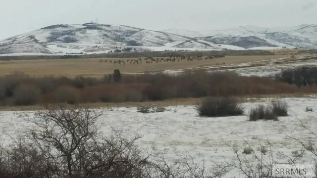 $2,000,000 | Tbd Bailey Creek Road, Soda Springs, ID 83276