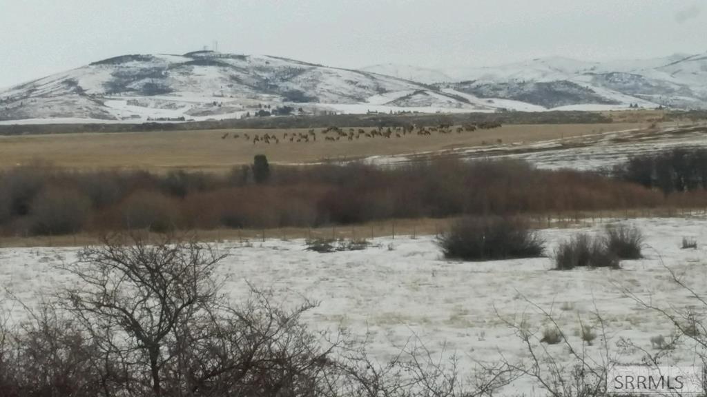 Tbd Bailey Creek Road Soda Springs, ID 83276 - Photo 45 of 48