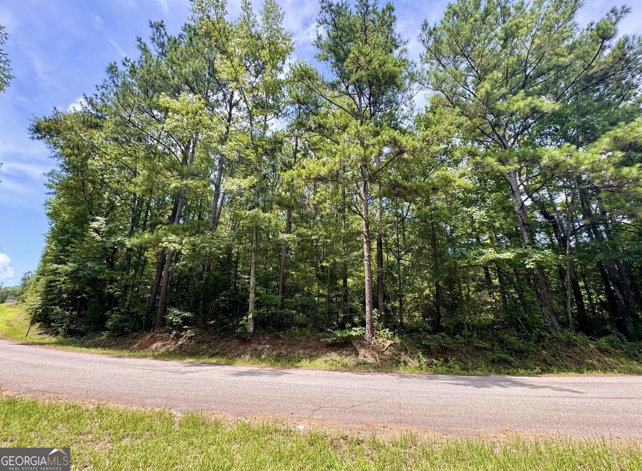 0 Mitchell Road Forsyth, GA 31029 - Photo 8 of 13 Gallery Image 8