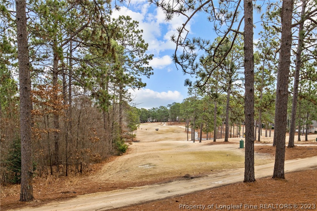 269 Knoll Road, Unit 409 Southern Pines, NC 28387 - Photo 29 of 40