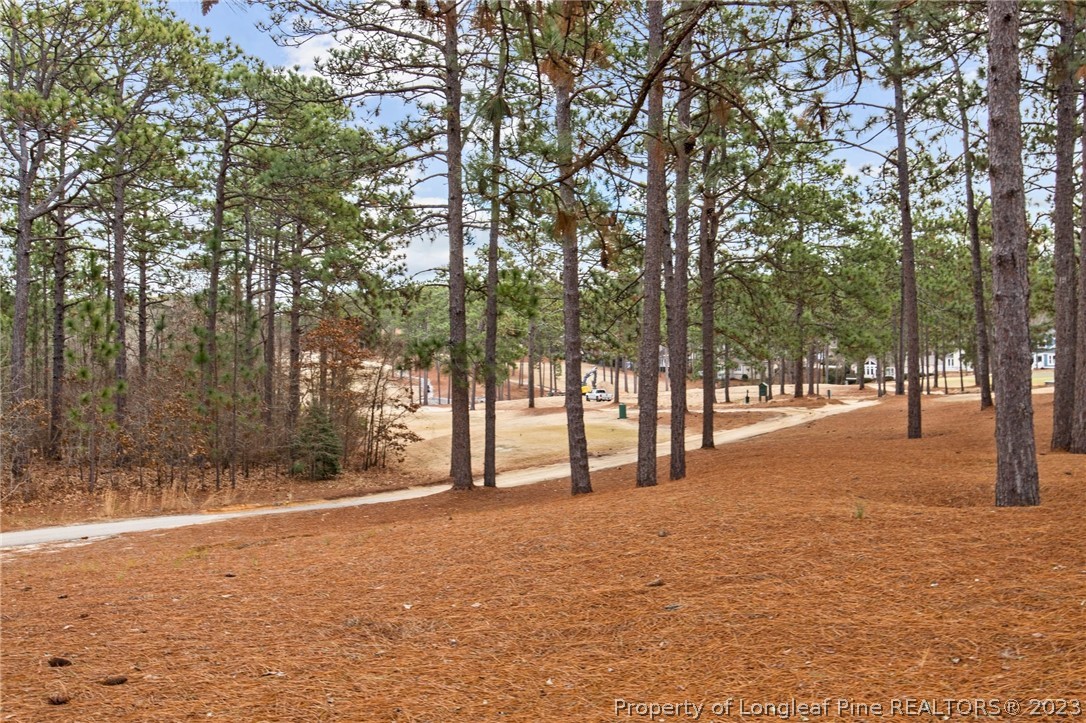 269 Knoll Road, Unit 409 Southern Pines, NC 28387 - Photo 30 of 40 a view of road with trees