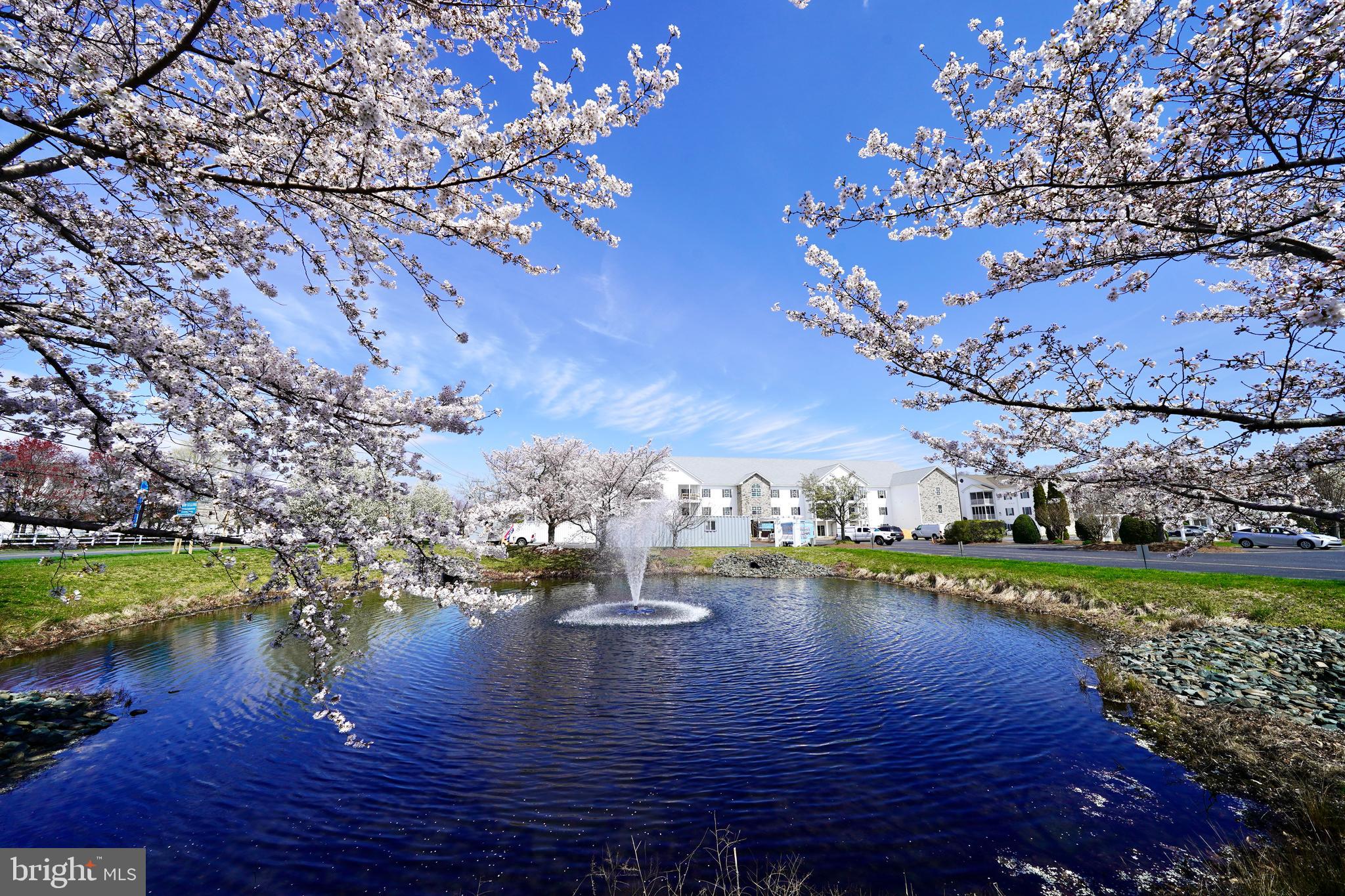 30609 Cedar Neck Road, Unit 3308 Ocean View, DE 19970 - Photo 37 of 40