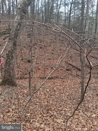 a view of a backyard of the house