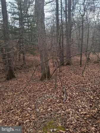 a view of covered with trees