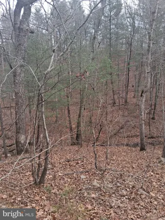 $100,000 | Vesey Drive, Front Royal, VA 22630