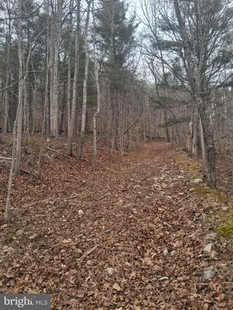 $100,000 | Vesey Drive, Front Royal, VA 22630