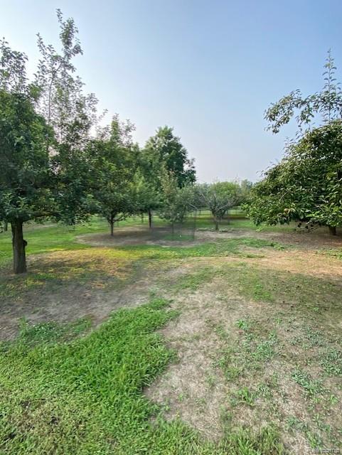 7762 Mason Road Yale, MI 48097 - Photo 10 of 40