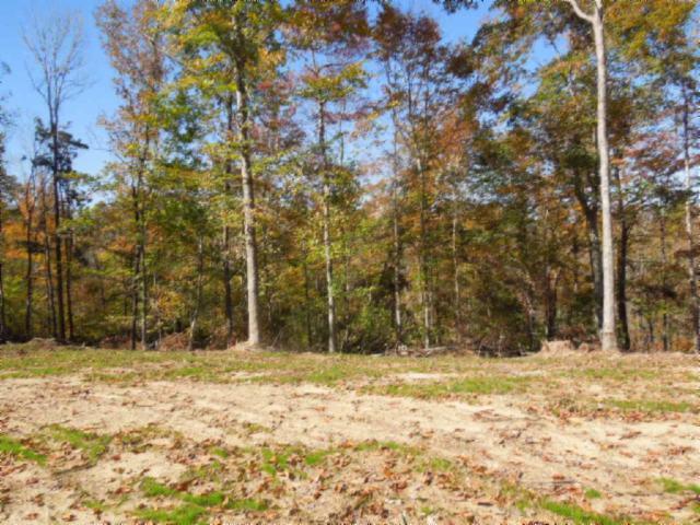 0 Turkey Town Road Hilham, TN 38568 - Photo 20 of 20 Gallery Image 20