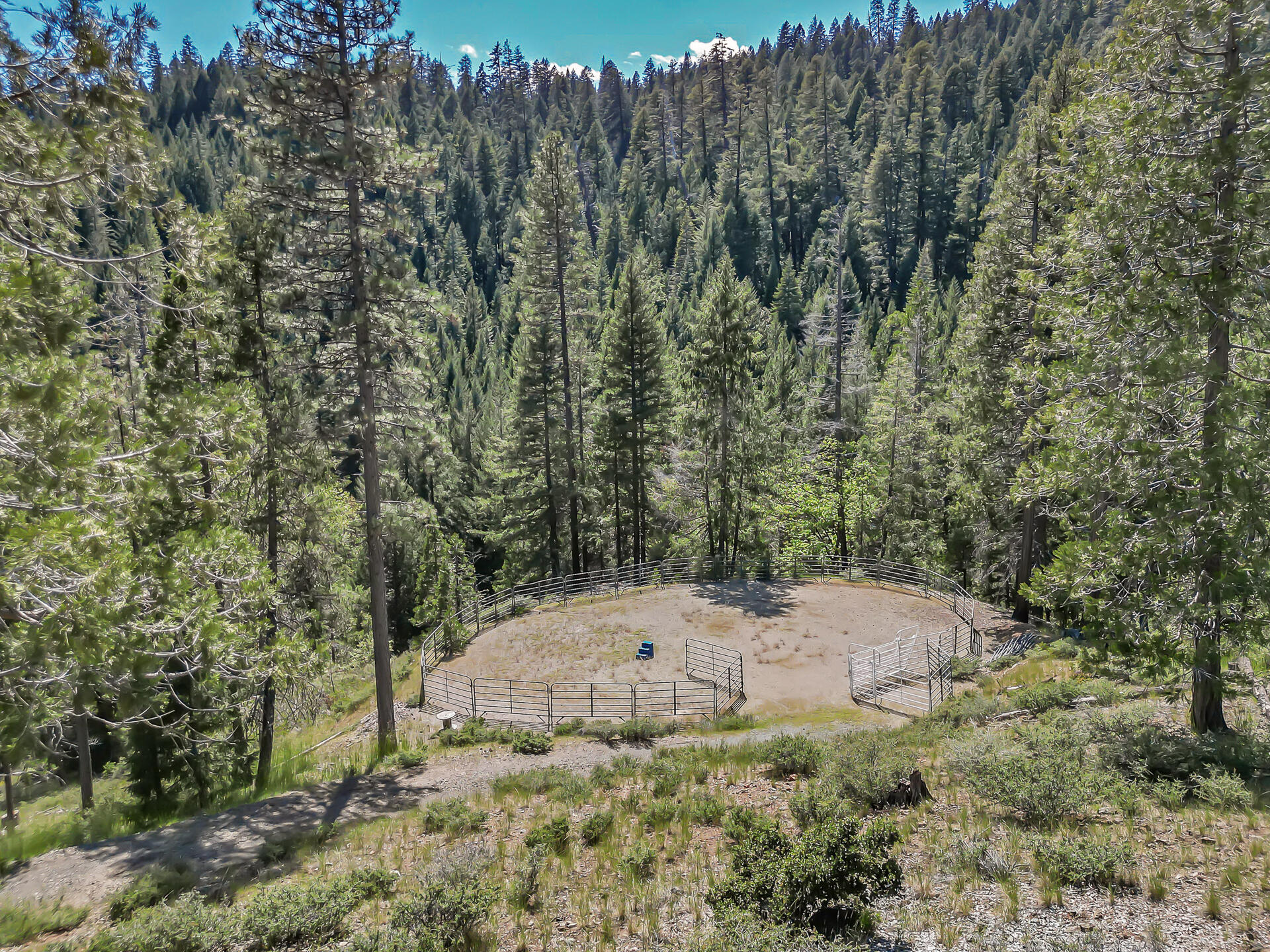 211 Strope Creek Road Trinity Center, CA 96091 - Photo 33 of 50 Arena