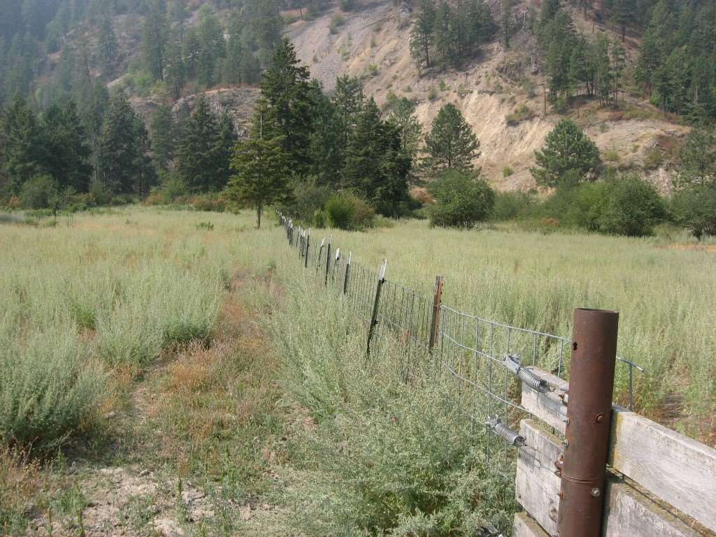 16-xx E Zimmer Road Addy, WA 99101 - Photo 2 of 3