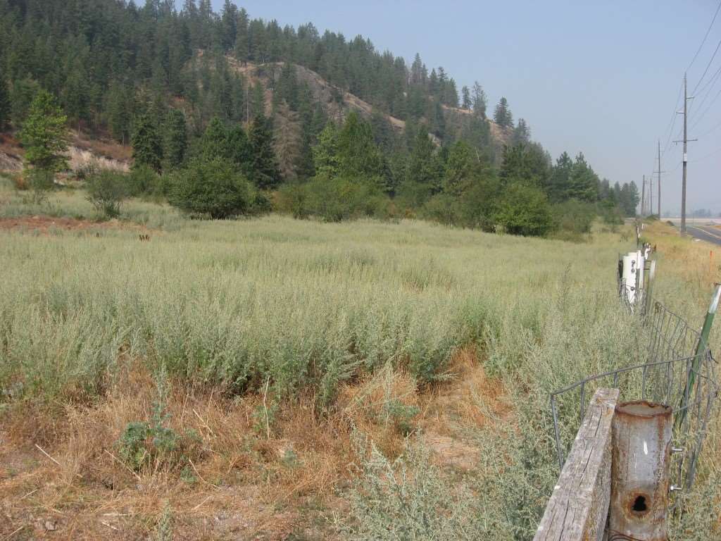 16-xx E Zimmer Road Addy, WA 99101 - Photo 3 of 3