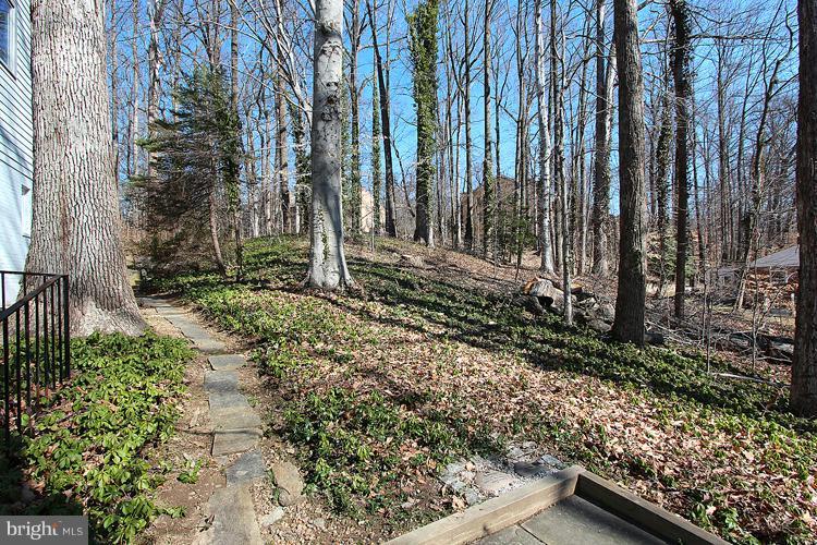 6509 Goldsboro Road Bethesda, MD 20817 - Photo 16 of 30 Wooded View