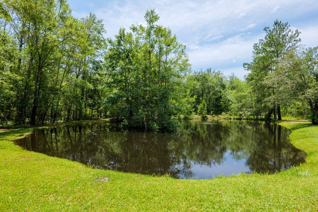 4848 Old State Road Naylor, GA 31641 - Photo 49 of 50 Gallery Image 49
