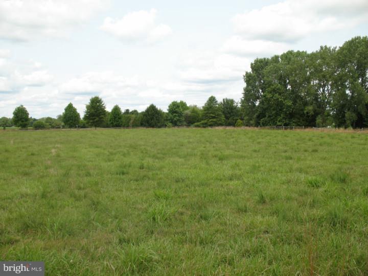 2.16 Layton Road Woodstown, NJ 08098 - Photo 2 of 6