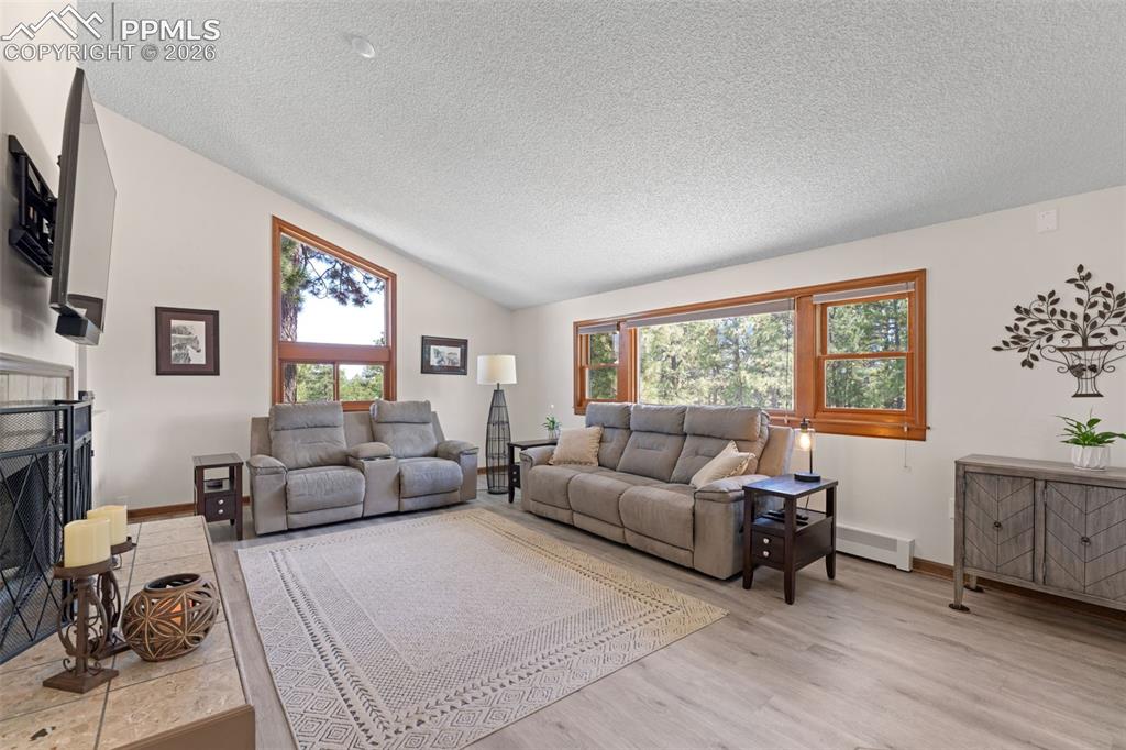 1851 Buttercup Road Elizabeth, CO 80107 - Photo 10 of 47 a living room with furniture and a flat screen tv