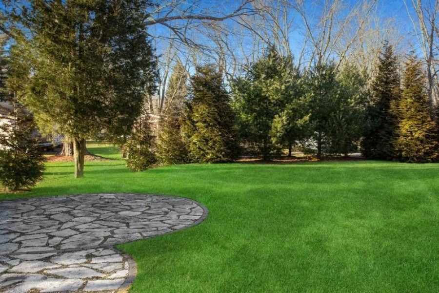 8317 West East Road Lakeside, MI 49128 - Photo 30 of 31 15_Backyard