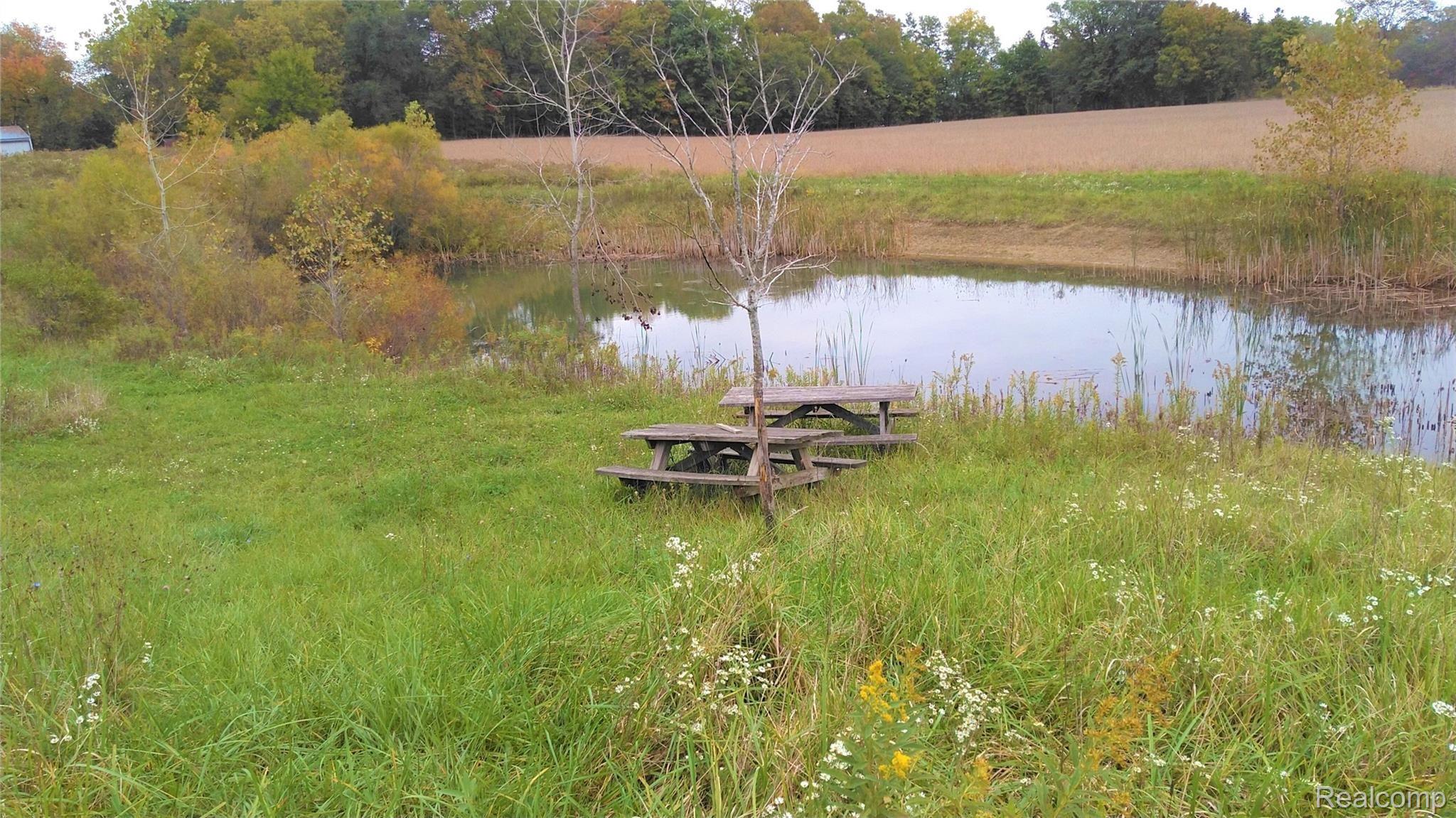 7955 Wildcat Road Ovid, MI 48866 - Photo 29 of 36 KIMG3334.jpg